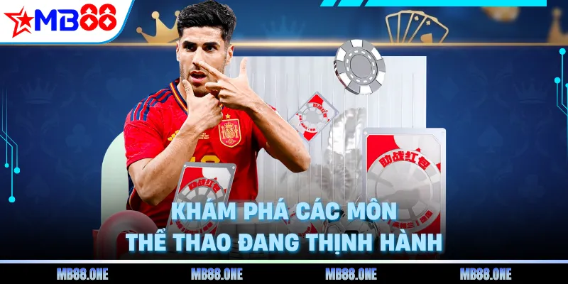 Khám phá các môn thể thao đang thịnh hành