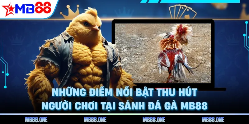 Những điểm nổi bật thu hút người chơi tại sảnh đá gà MB88